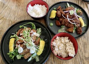 Katsu and karrage  at Izakaya Midori in Reedy Creek