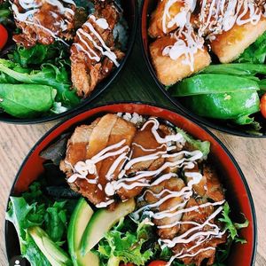 Terichiki Don, Tempura Tofu Don, Katsu Don at Izakaya Midori in Reedy Creek