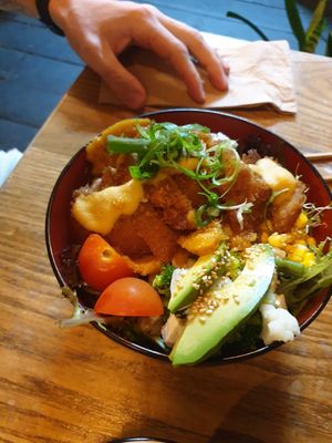 Katsu don at Izakaya Midori in Reedy Creek