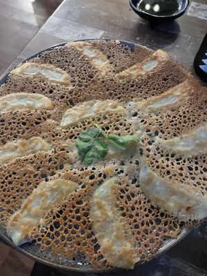 Gyozaholic  at Izakaya Midori in Reedy Creek