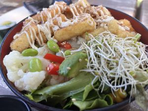 Tempura tofu don. Next level tofu!!!  at Izakaya Midori in Reedy Creek