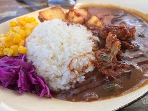 Curry don - SUPERB!!  at Izakaya Midori in Reedy Creek