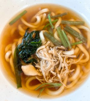 Japanese Udon   at Izakaya Midori in Reedy Creek