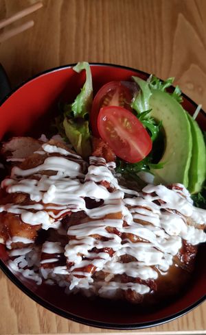 Terichicki Don at Izakaya Midori in Reedy Creek