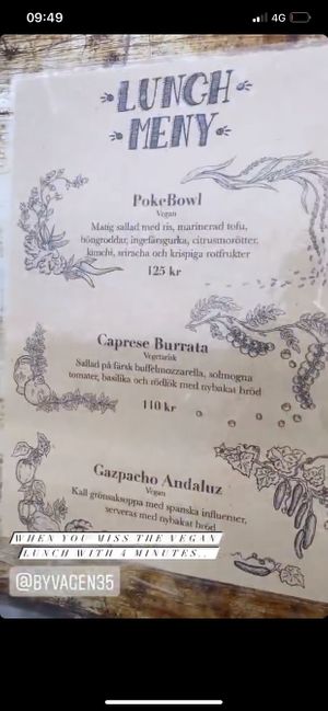 Menu but we missed lunch with 4 minutes (serves only until 14.59......) at Byvägen in Simrishamn