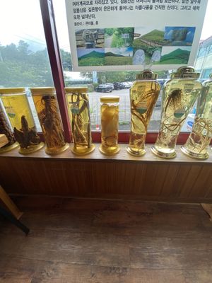 All the goodness in those jars    at Jeombongsan Sanchae in Sokcho