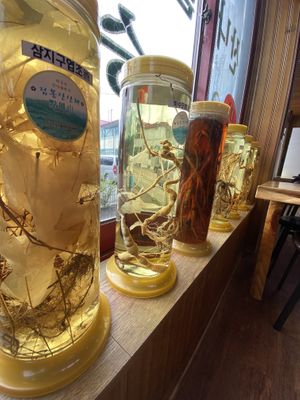 Amazing    at Jeombongsan Sanchae in Sokcho