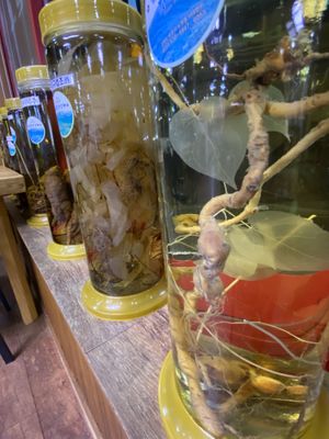 Love all the roots and things!  at Jeombongsan Sanchae in Sokcho