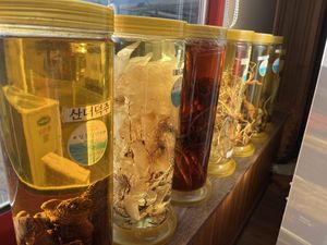   at Jeombongsan Sanchae in Sokcho