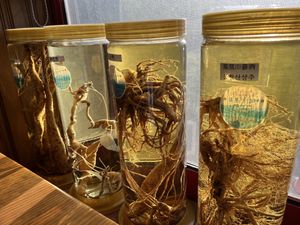   at Jeombongsan Sanchae in Sokcho