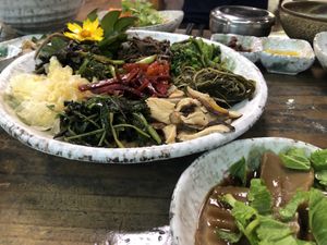 Wild plants at Jeombongsan Sanchae in Sokcho