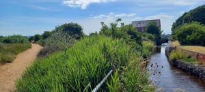  at Off The Rails in Yarmouth