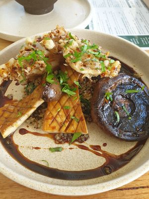 Trio of mushrooms at The Laneway Green in Springwood