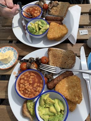   at The Hideaway in Seaton