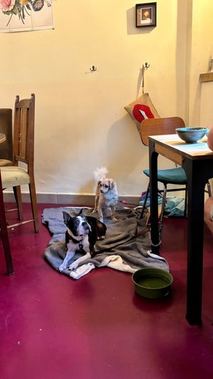  at Kukla in Valencia