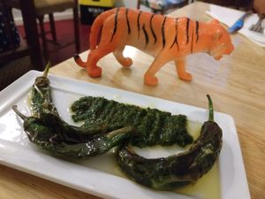 Spicy peppers with olive oil at Kukla in Valencia