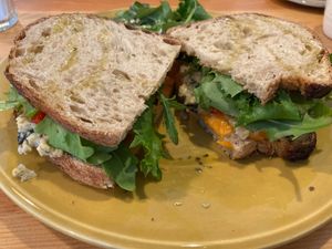 Toasted tuna melt sandwich at Kind Kitchen in Porto