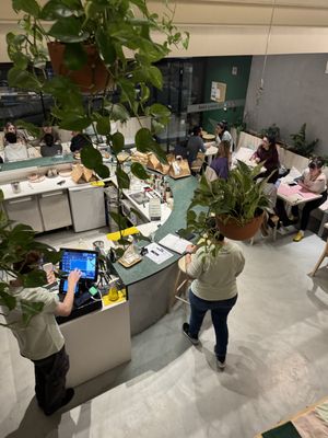 Downstairs   at Kind Kitchen in Porto