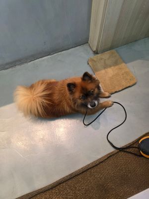  at Kind Kitchen in Porto