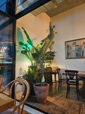  at TeDuKtu in Tirana