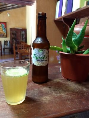 Tepache Mexicano at Vegetal Artesanal in Rio De Contas