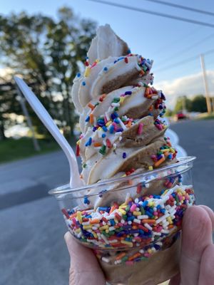 Chocolate Vanilla swirl (was told the sprinkles were vegan) at The Original Mickey's Igloo in Kingston