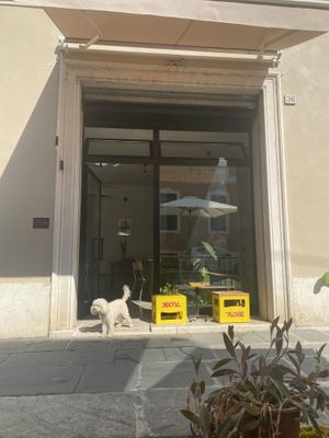 Sweet dog  at Estratto in Brescia