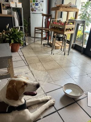   at Estratto in Brescia