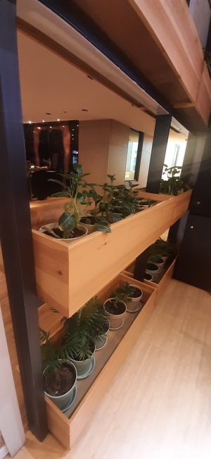  at Foody lohas Cafe in Ulaanbaatar