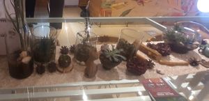  at Foody lohas Cafe in Ulaanbaatar