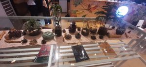  at Foody lohas Cafe in Ulaanbaatar