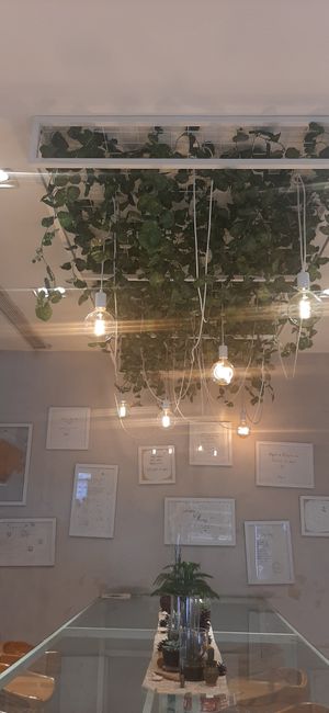  at Foody lohas Cafe in Ulaanbaatar