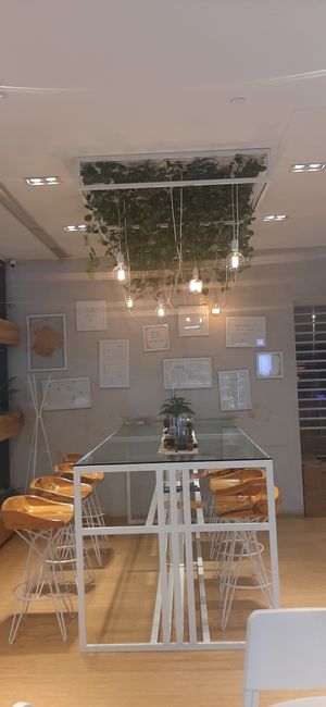  at Foody lohas Cafe in Ulaanbaatar