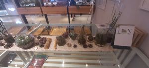  at Foody lohas Cafe in Ulaanbaatar