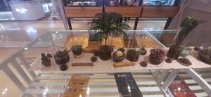  at Foody lohas Cafe in Ulaanbaatar