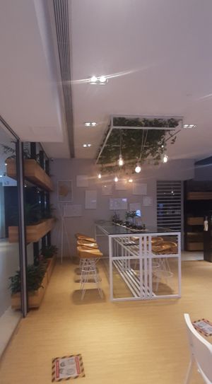  at Foody lohas Cafe in Ulaanbaatar