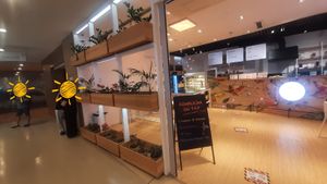  at Foody lohas Cafe in Ulaanbaatar