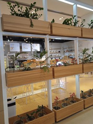  at Foody lohas Cafe in Ulaanbaatar