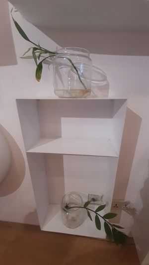  at Foody lohas Cafe in Ulaanbaatar