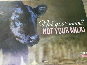 No Abnormal Dead Baby Bovine Milk Sold Here!  at Vegan District in Petaling Jaya