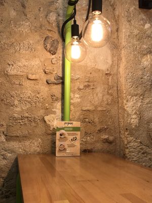 Vegan menu  at The Cup Rice & Noodles in Montpellier