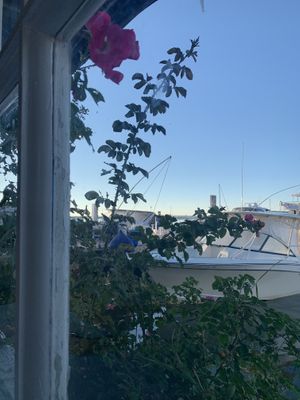 The view!   at Watercolor Cafe in Mackinac Island