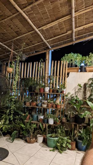  at Ima's Vegetarian Restaurant in Puerto Princesa