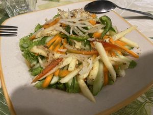 Rojak salad   at Ima's Vegetarian Restaurant in Puerto Princesa