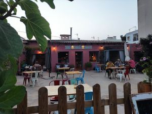 Café Saüc at Cafè Saüc in Mallorca