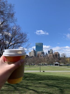 Organic drip coffee  at Life Alive Organic Cafe - Back Bay - Boylston St in Boston