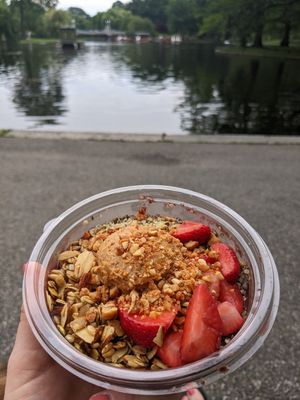 Pb acai bowl at Life Alive Organic Cafe - Back Bay - Boylston St in Boston