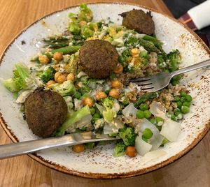 Spring falafel bowl  at Life Alive Organic Cafe - Back Bay - Boylston St in Boston