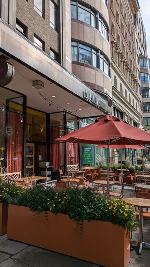  at Life Alive Organic Cafe - Back Bay - Boylston St in Boston