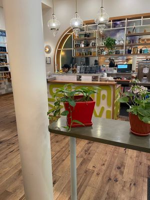  at Life Alive Organic Cafe - Back Bay - Boylston St in Boston